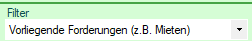 Screenshot Filter vorliegende Forderungen im Forderungsmanager